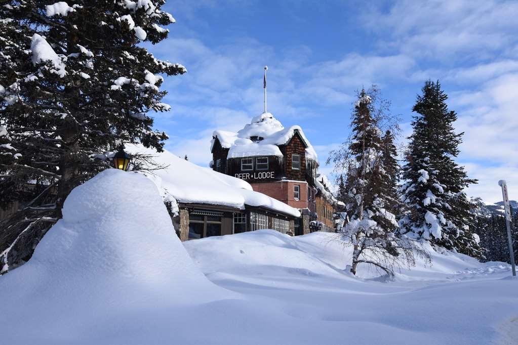 Deer Lodge Lake Louise Exteriör bild