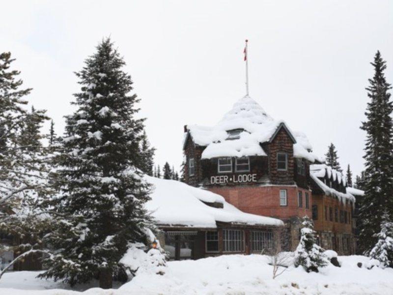 Deer Lodge Lake Louise Exteriör bild