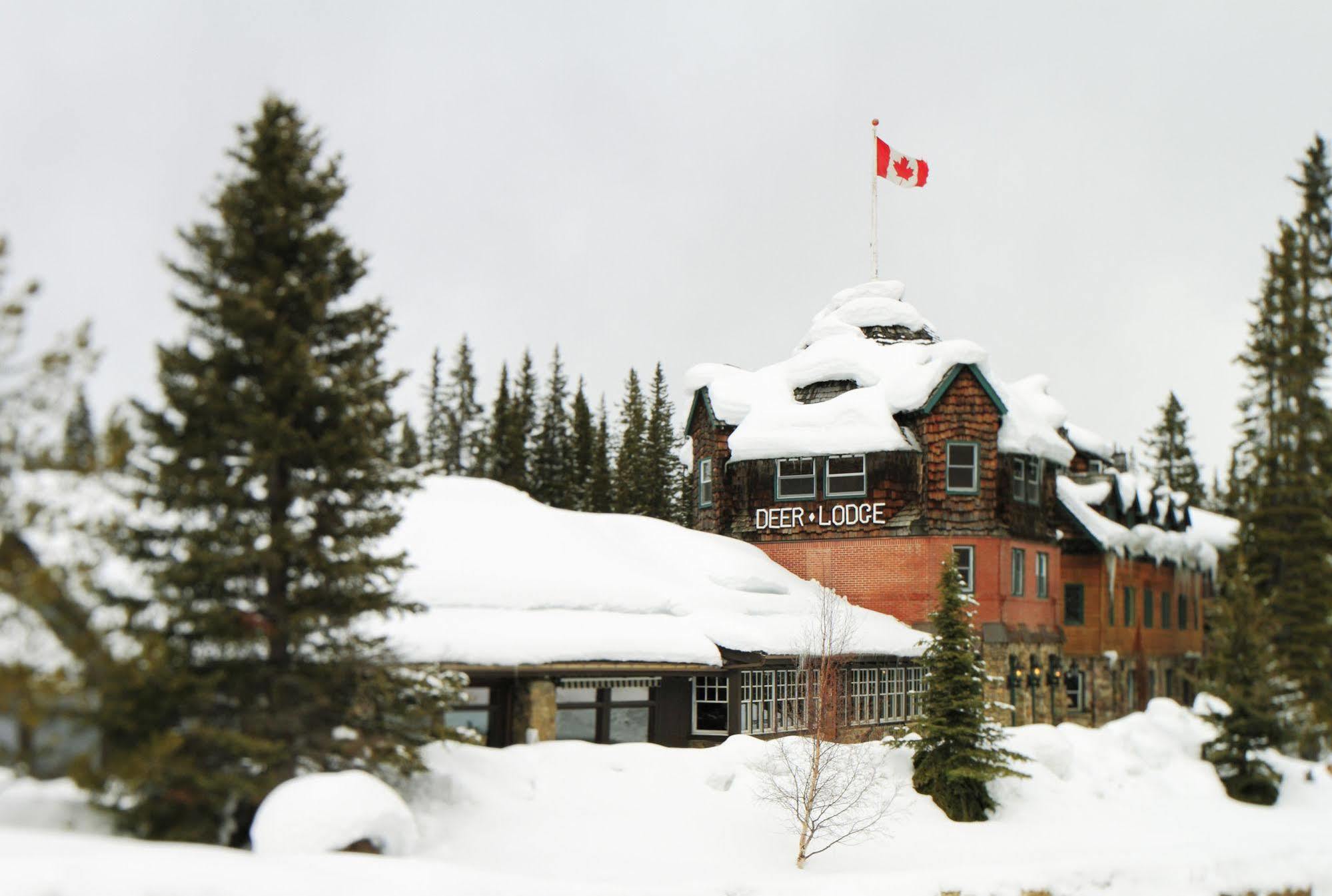 Deer Lodge Lake Louise Exteriör bild