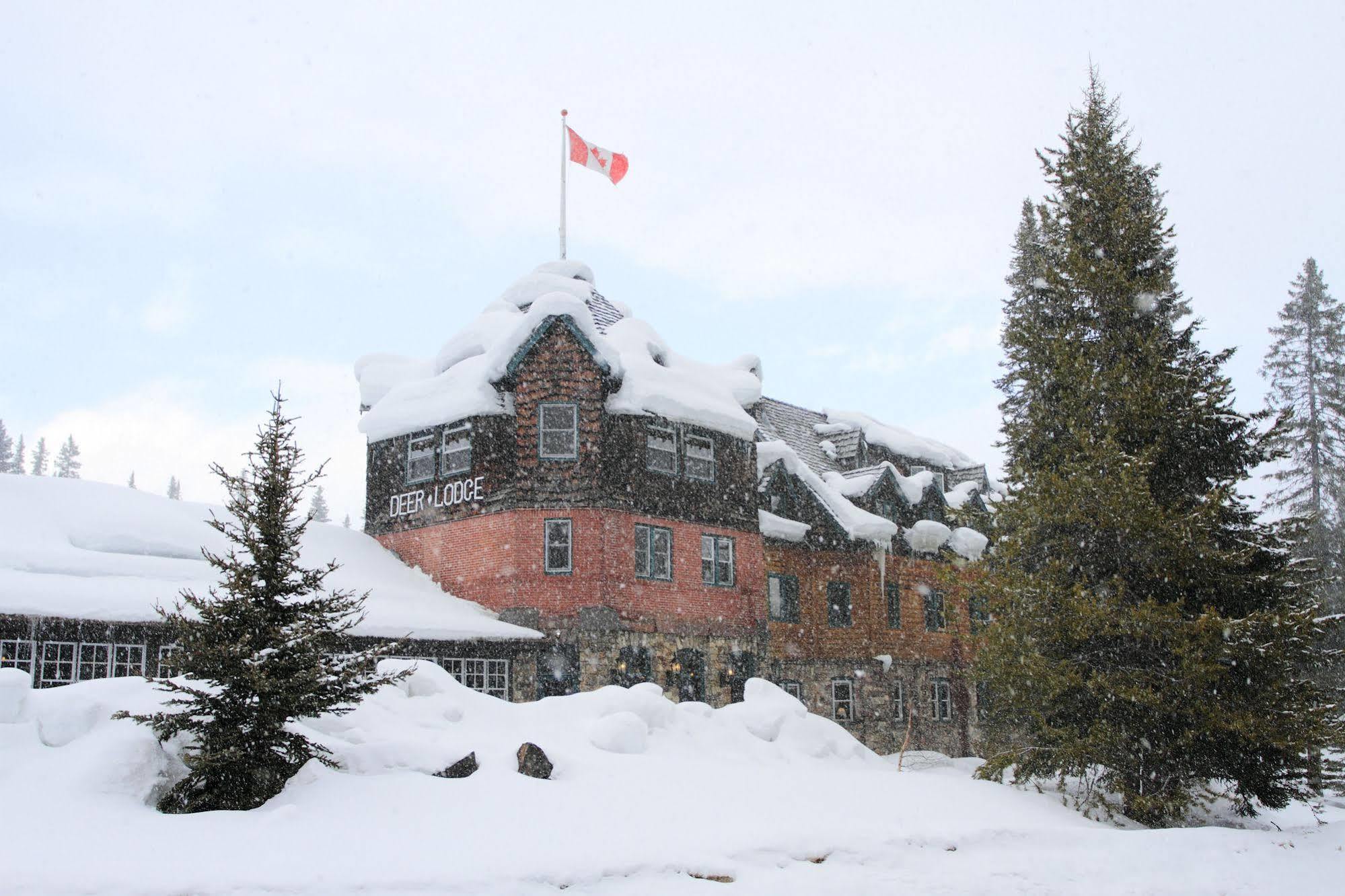Deer Lodge Lake Louise Exteriör bild