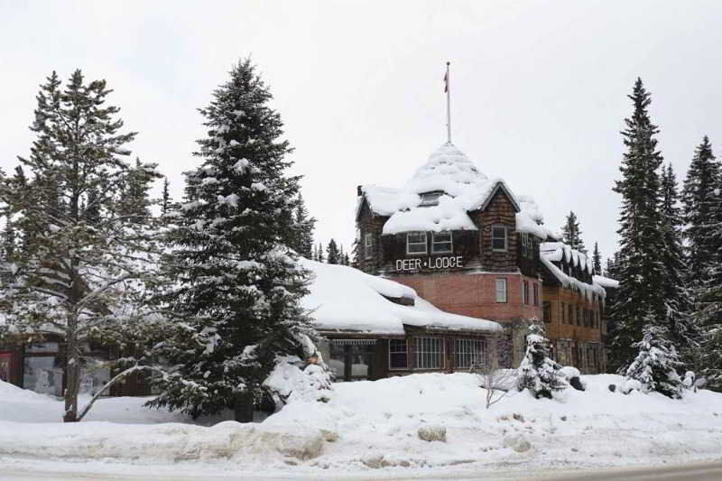 Deer Lodge Lake Louise Exteriör bild